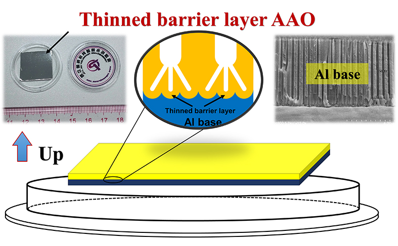 Thinned barrier layer AAO